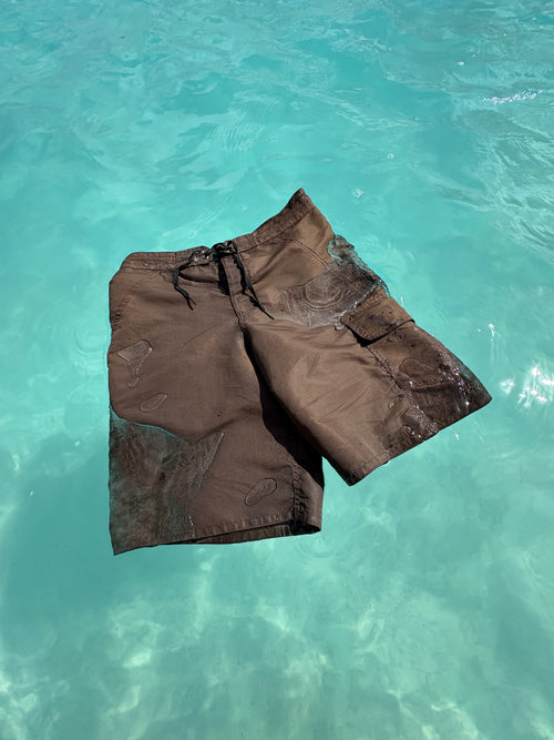 Brown Trunk